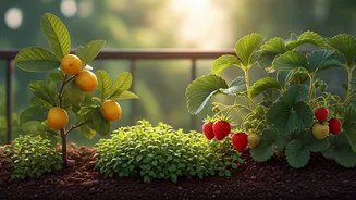 Small-Space Gardening Gets A Fruity Upgrade