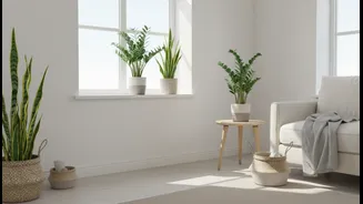 Small Flats Can Feel Brighter With These Plants