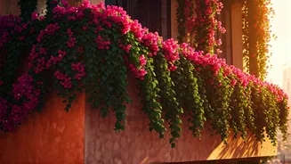 Transform Your Small Balcony into a Floral Oasis: Top Flowering Vines for Indian Homes
