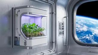 Astronaut Nutrition In Orbit: The Practical Problems Gaganyaan Must Solve