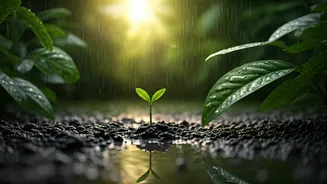 India Celebrates Rains With Faith And Fun