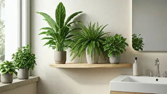 Related Stories banner