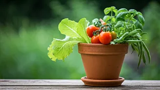 Container Vegetable Gardening Is Getting Beginner-Friendly Now