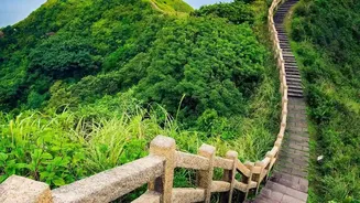 What Health Science Tells Us About The Magic Ten Thousand Steps Daily Goal