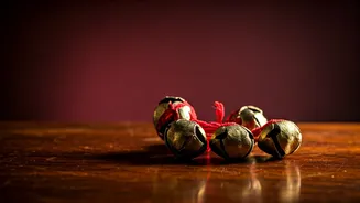 Unveiling India's Hidden Dance Gems