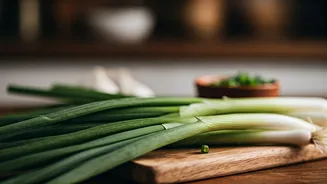 10 Spring Onion Dishes You Must Try!