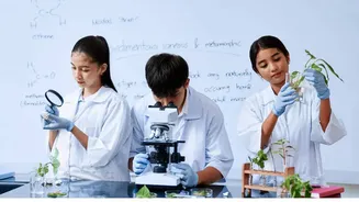 NEET UG 2026 Counselling Explained: MCC vs State Counselling, Complete Registration To Seat Allotment Process