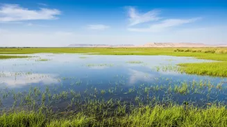 Rajasthan's Current Monsoon Travel Surge Makes Wetland Breaks In Familiar Dry Landscapes More Important