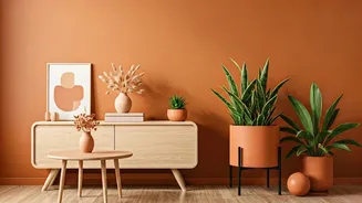 The Aesthetic Apartment: Terracotta Tips Every Renter Needs Now
