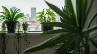 Plants Bring Calm To Concrete City Life