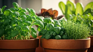 Balcony Greens Are The Coolest Kitchen Upgrade Now