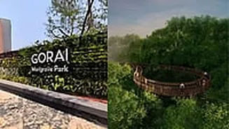 Good News Mumbaikars! Maharashtra's 1st Mangrove Park In Gorai To Be Inaugurated On May 28 - Details Here