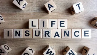 Private life insurers see volume recovery in Q3 as GST exemption lifts demand: PL Capital