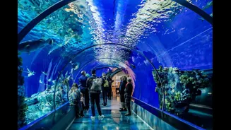 Walk Through The Sea? Mumbai's Rani Baug To Get Rs 62-Crore Underwater Aquarium