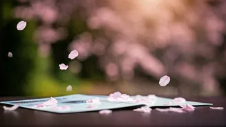 Related Stories banner