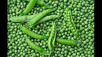 MP News: Green Pea Festival To Be Held On January 11 In Jabalpur