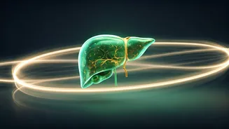 Boost Your Liver Health: 9 Expert-Approved Exercises for a Healthier You!