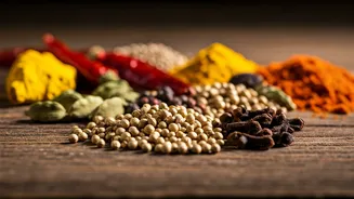 Sizzling Spices: A Culinary Journey Through Indian Cuisine