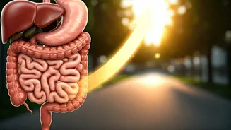 Related Stories banner