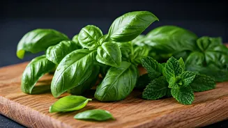 Basil And Mint Are The Lazy Cook’s Flex