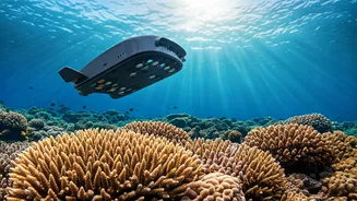 Meet CUREE: The Autonomous Robot Revolutionizing Coral Reef Monitoring