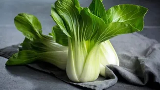 Bok choy: The superstar of flavorful Asian cuisine