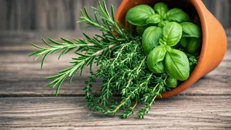 Unlocking the Secrets of Herb Gardening: Your Guide