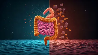 Gut health challenges protein hype