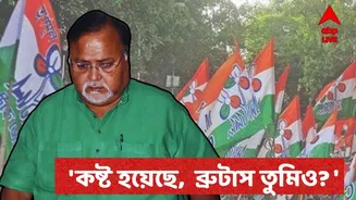 Partha Chantterjee : 'আমার পতনের দায়ী...' নিজের অবস্থার জন্য কাকে দায়ী করছেন পার্থ ? কাকে বললেন 'ব্রুটাস'?