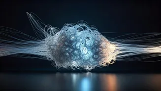 Beyond Your Bubble: Navigating Algorithmic Echo Chambers in Digital Entertainment