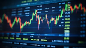 Indian Market Dynamics: Policy, Momentum & Growth