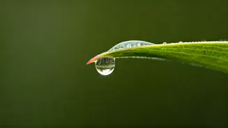 The Unabashed Weeper: Embracing Emotional Sensitivity as a Strength