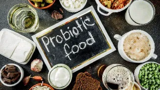 10 Best probiotic foods to eat during 2026 summer heatwave
