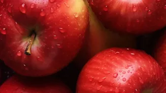 How Kashmir’s Heritage Apple Industry Uses Cold Storage Upgrades To Cut Losses
