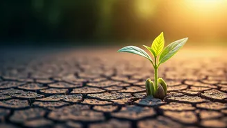 Conquering Chronic Anxiety: 4 Empowering Strategies for a Calmer You