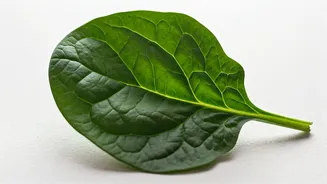 Unpacking India's Nutrition Crisis: A Deep Dive