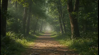Why young domestic travellers prefer soul-searching spiritual trails over commercial resort stays