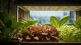 Indoor Gardening Gets Smarter During Continuous Rain