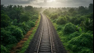 Planning Around Monsoon Trains Can Save Time And Money