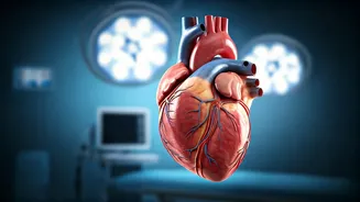 Marathon Heart Health: Cardiologist's Fatigue-Fighting Guide