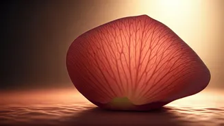 Unlock a Youthful Glow: Shenaz Treasury's 5-Minute Facelift Massage Revealed!