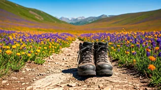 Flower Trails Need Boots, Permits And Patience