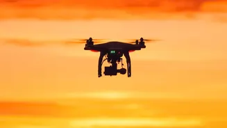 How Nashik Smallholders Track Downy Mildew Spread Using Precision AI Drones