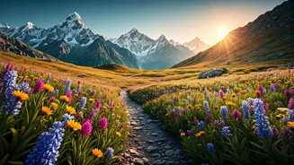 Valley Of Flowers Planning Is Creeping Back Again