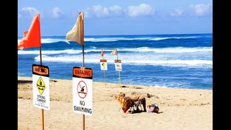 Why Children Are More Vulnerable to Heatwaves and How to Protect Them