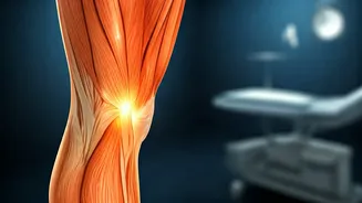 Related Stories banner