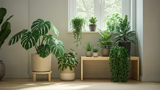 Plant Corners Are The New Home Reset