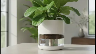 How to keep indoor plants alive without daily watering using sub-irrigated capillary pot systems