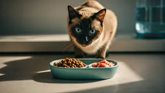 Related Stories banner