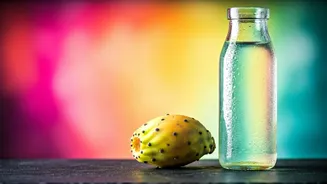 Plant Based Cactus Water Replaces Sugary Energy Drinks In Daily Diets